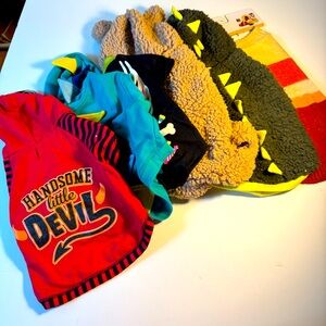 Halloween dog out fits